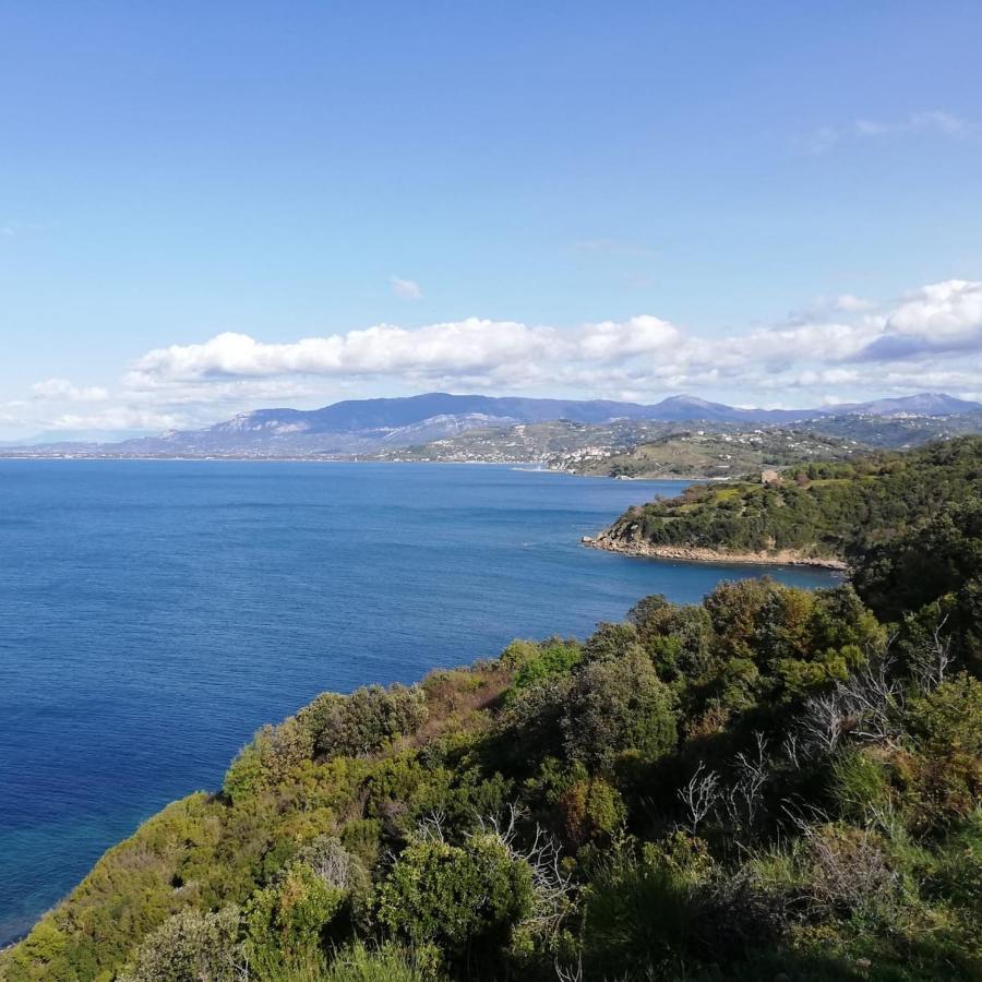 Panoramic Apartments In Villa In Center "The Beach And The Cliff" 1 Agropoli Dış mekan fotoğraf